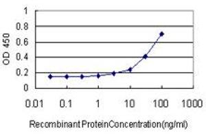 Detection limit for recombinant GST tagged RUNX2 is approximately 3ng/ml as a capture antibody. (RUNX2 anticorps  (AA 251-350))