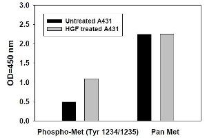 Image no. 2 for Met Proto-Oncogene (MET) ELISA Kit (ABIN625241)