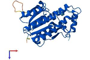 AlphaFold protein structure predicition of Mouse Recombinant Hsd17b8 Protein, UniprotID P50171