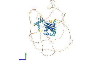 AlphaFold protein structure predicition of Human Recombinant CSTF2T Protein, UniprotID Q9H0L4