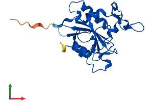 AlphaFold protein structure predicition of Human Recombinant NTAQ1 Protein, UniprotID Q96HA8
