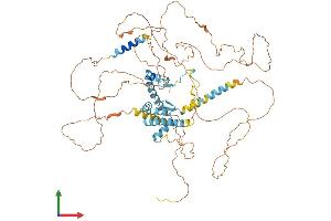 AlphaFold protein structure predicition of Human Recombinant AKAP8 Protein, UniprotID O43823