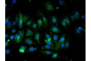 Validation submitted by One World Lab.