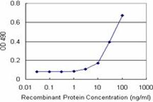 Sandwich ELISA detection sensitivity ranging from 3 ng/mL to 100 ng/mL. (MAGEA9 (Humain) Matched Antibody Pair)
