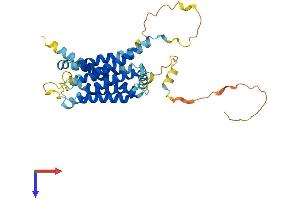 AlphaFold protein structure predicition of Human Recombinant GPR62 Protein, UniprotID Q9BZJ7