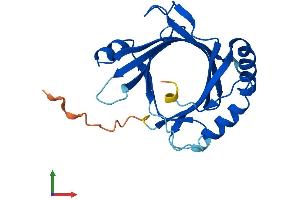 AlphaFold protein structure predicition of Mouse Recombinant Med18 Protein, UniprotID Q9CZ82