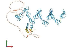 AlphaFold protein structure predicition of Human Recombinant ZNF528 Protein, UniprotID Q3MIS6