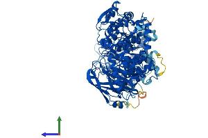 AlphaFold protein structure predicition of Mouse Recombinant Tcaf2 Protein, UniprotID Q921K8