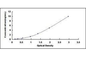 ELISA image for CD40 Ligand (CD40LG) ELISA Kit (ABIN415886)