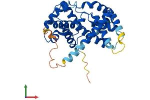 AlphaFold protein structure predicition of Human Recombinant CCND2 Protein, UniprotID P30279