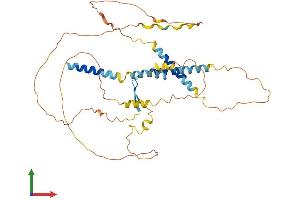 AlphaFold protein structure predicition of Mouse Recombinant Ier5l Protein, UniprotID Q99J55