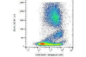 Surface staining of human peripheral blood cells with anti-CD55 (MEM-118) biotin / streptavidin-APC.