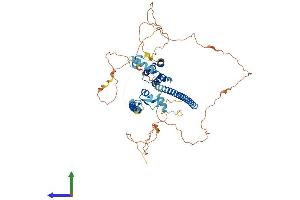 AlphaFold protein structure predicition of Human Recombinant CBFA2T2 Protein, UniprotID O43439