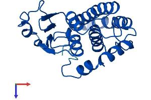 AlphaFold protein structure predicition of Human Recombinant GSTM5 Protein, UniprotID P46439