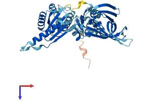 AlphaFold protein structure predicition of Mouse Recombinant Pelo Protein, UniprotID Q80X73