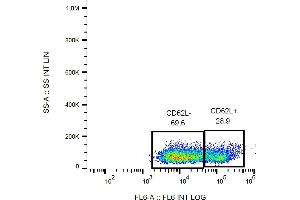 Flow cytometry analysis (surface staining) of human peripheral blood cells with anti-CD62L (LT-TD180) APC. (L-Selectin anticorps  (APC))