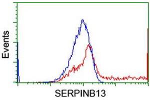 HEK293T cells transfected with either RC211032 overexpress plasmid (Red) or empty vector control plasmid (Blue) were immunostained by anti-SERPINB13 antibody (ABIN2455118), and then analyzed by flow cytometry. (SERPINB13 anticorps)