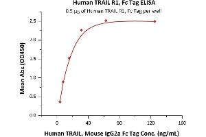 Immobilized Human TRAIL R1, Fc Tag (ABIN2181865,ABIN2181864) at 5 μg/mL (100 μL/well) can bind Human TRAIL, Mouse IgG2a Fc Tag (ABIN6933657,ABIN6938881) with a linear range of 4-16 ng/mL (QC tested). (TNFRSF10A Protein (AA 24-239) (Fc Tag))