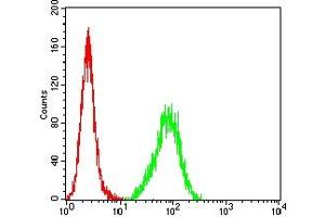 Flow cytometric analysis of Hela cells using C1QA mouse mAb (green) and negative control (red).