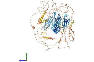 AlphaFold protein structure predicition of Mouse Recombinant Palld Protein, UniprotID Q9ET54