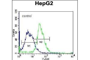 PLEKHH1 Antibody (C-term) (ABIN656704 and ABIN2845936) flow cytometric analysis of K562 cells (right histogram) compared to a negative control cell (left histogram). (PLEKHH1 anticorps  (C-Term))