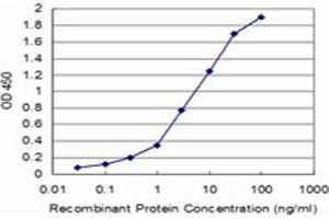Detection limit for recombinant GST tagged MARCKS is approximately 0. (MARCKS anticorps  (AA 2-65))