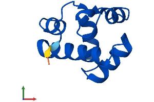 AlphaFold protein structure predicition of Human Recombinant BANF1 Protein, UniprotID O75531
