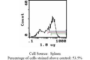 Mouse anti CD44 (HCAM) OX-49 (CD44 anticorps)