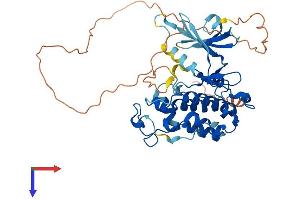 AlphaFold protein structure predicition of Human Recombinant CDK15 Protein, UniprotID Q96Q40