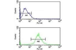 AIM2 antibody flow cytometric analysis of MCF-7 cells (green) compared to a negative control (blue).