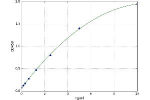 Desert Hedgehog (DHH) ELISA Kit