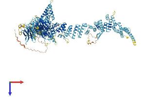AlphaFold protein structure predicition of Human Recombinant NUP160 Protein, UniprotID Q12769