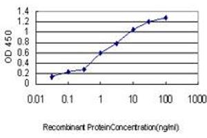 Detection limit for recombinant GST tagged HOXB1 is approximately 0. (HOXB1 anticorps  (AA 1-74))