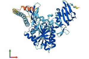 AlphaFold protein structure predicition of Human Recombinant UGP2 Protein, UniprotID Q16851