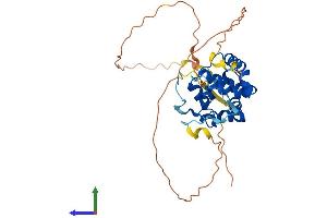 AlphaFold protein structure predicition of Mouse Recombinant Spdya Protein, UniprotID Q5IBH7