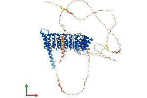 AlphaFold protein structure predicition of Mouse Recombinant Ppp1r37 Protein, UniprotID Q8BKR5
