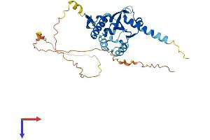 AlphaFold protein structure predicition of Mouse Recombinant Bnip2 Protein, UniprotID O54940
