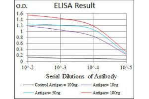 ELISA image for anti-Cyclin-Dependent Kinase 2 (CDK2) antibody (ABIN1845617) (CDK2 anticorps)