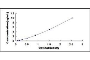 Typical standard curve (CD72 Kit ELISA)