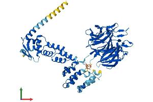 AlphaFold protein structure predicition of Human Recombinant KLHL7 Protein, UniprotID Q8IXQ5