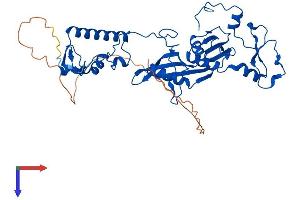 AlphaFold protein structure predicition of Mouse Recombinant Mrps5 Protein, UniprotID Q99N87