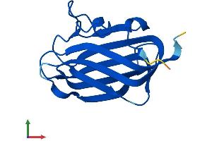 AlphaFold protein structure predicition of Mouse Recombinant Ift25 Protein, UniprotID Q9D6H2