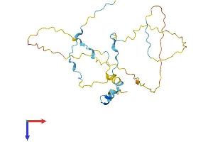 AlphaFold protein structure predicition of Mouse Recombinant Rhno1 Protein, UniprotID Q8K3A4