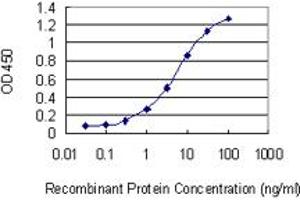 Detection limit for recombinant GST tagged ADSSL1 is 0.