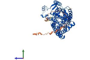 AlphaFold protein structure predicition of Mouse Recombinant Rhcg Protein, UniprotID Q9QXP0