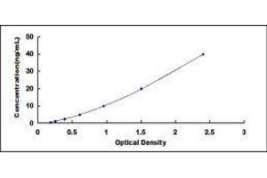 Melanoma Cell Adhesion Molecule (MCAM) ELISA Kit