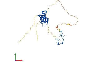 AlphaFold protein structure predicition of Human Recombinant LIN28B Protein, UniprotID Q6ZN17