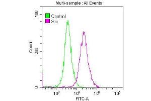 Overlay histogram showing SH-SY5Y cells stained with ABIN7127824 (red line) at 1:50.