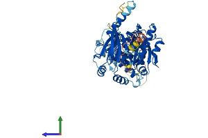 AlphaFold protein structure predicition of Mouse Recombinant Cerk Protein, UniprotID Q8K4Q7