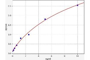 Typical standard curve (HDAC2 Kit ELISA)